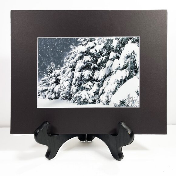 SNOWY PONDEROSA PINES COLORAD 5 x 7 Photo Matted 8 x 10 Signed COA - Picture 1 of 3